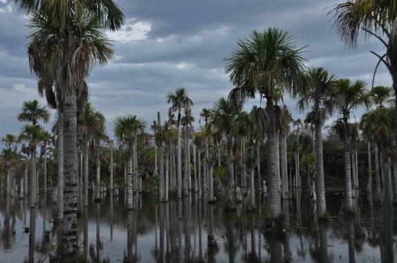 O incrível panorama da Lagoa das Araras, em Bom Jardim, no Mato Grosso